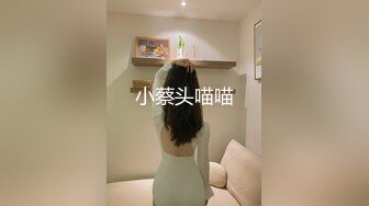 小蔡头喵喵