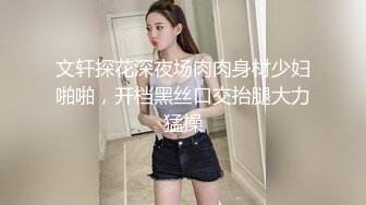 文轩探花深夜场肉肉身材少妇啪啪，开档黑丝口交抬腿大力猛操