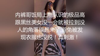 内裤哥饭局上刚认识的极品高跟黑丝美女没一会就被拉到没人的角落操起来了,避免被发现衣服也没脱！真刺激！