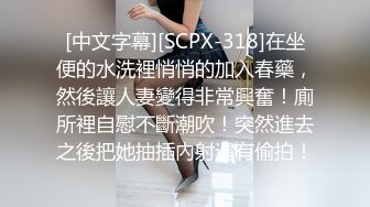 [中文字幕][SCPX-318]在坐便的水洗裡悄悄的加入春藥，然後讓人妻變得非常興奮！廁所裡自慰不斷潮吹！突然進去之後把她抽插內射還有偷拍！