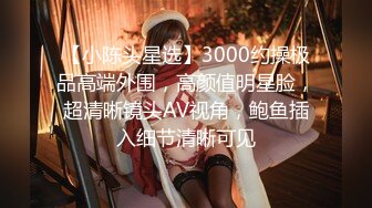 【小陈头星选】3000约操极品高端外围，高颜值明星脸，超清晰镜头AV视角，鲍鱼插入细节清晰可见